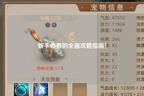 新手必看的全面攻略指南！