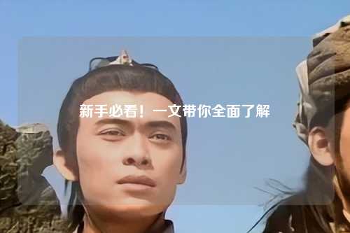 新手必看！一文带你全面了解