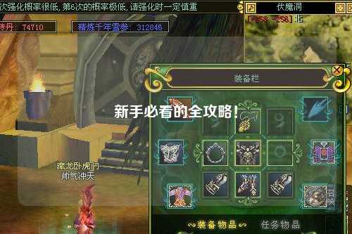 新手必看的全攻略！