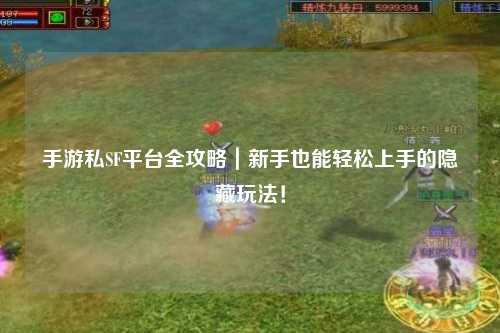 手游私SF平台全攻略｜新手也能轻松上手的隐藏玩法！