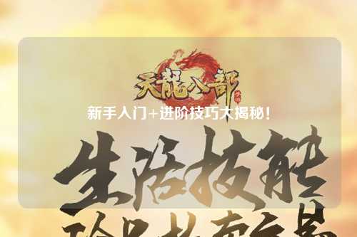 新手入门+进阶技巧大揭秘！