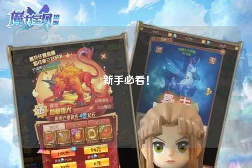 新手必看！