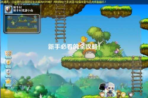 新手必看的全攻略！