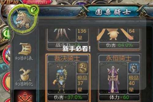 新手必看！