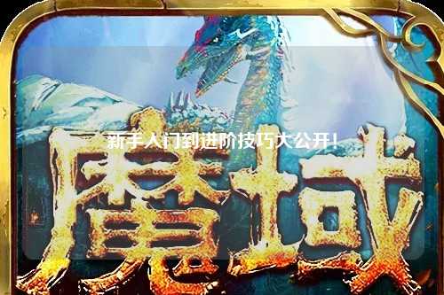 新手入门到进阶技巧大公开！