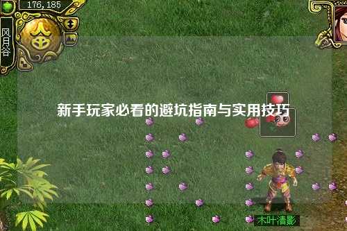 新手玩家必看的避坑指南与实用技巧