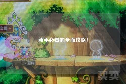 新手必看的全面攻略!
