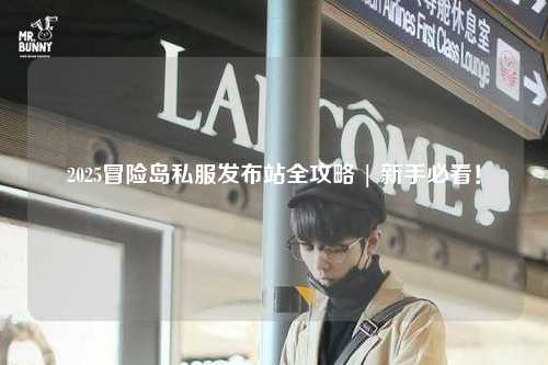 2025冒险岛私服发布站全攻略 | 新手必看！