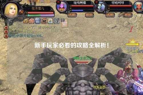 新手玩家必看的攻略全解析！
