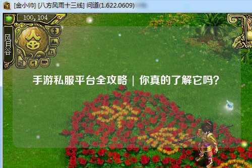 手游私服平台全攻略 | 你真的了解它吗？