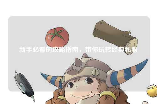 新手必看的攻略指南，带你玩转经典私服