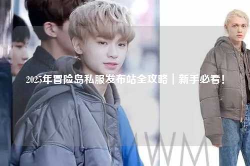 2025年冒险岛私服发布站全攻略｜新手必看！