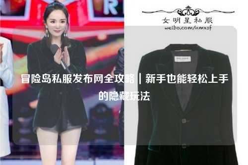 冒险岛私服发布网全攻略｜新手也能轻松上手的隐藏玩法