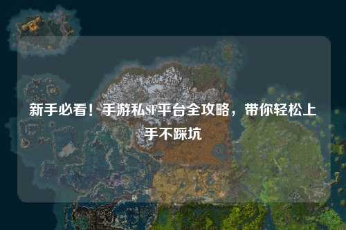 新手必看!手游私SF平台全攻略,带你轻松上手不踩坑