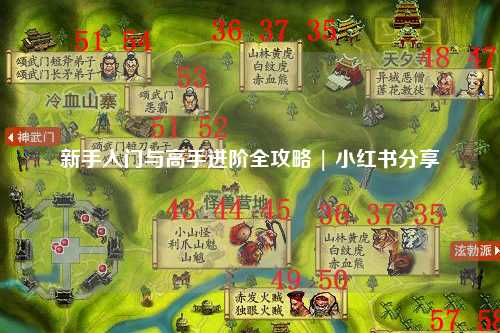 新手入门与高手进阶全攻略 | 小红书分享