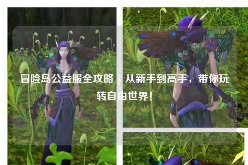 冒险岛公益服全攻略 | 从新手到高手，带你玩转自由世界！