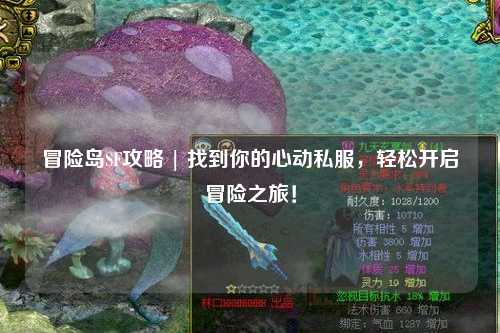 冒险岛SF攻略 | 找到你的心动私服，轻松开启冒险之旅！