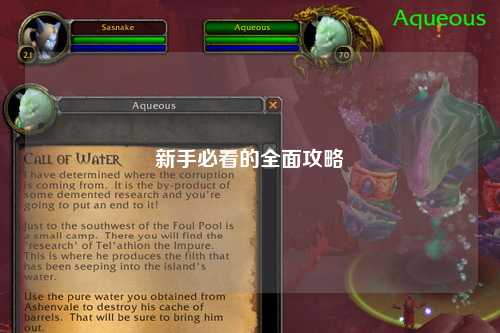 新手必看的全面攻略