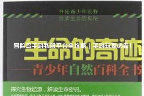冒险岛手游私服平台全攻略 | 手游玩家必看！