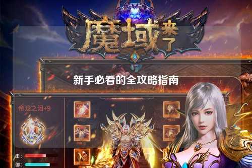 新手必看的全攻略指南