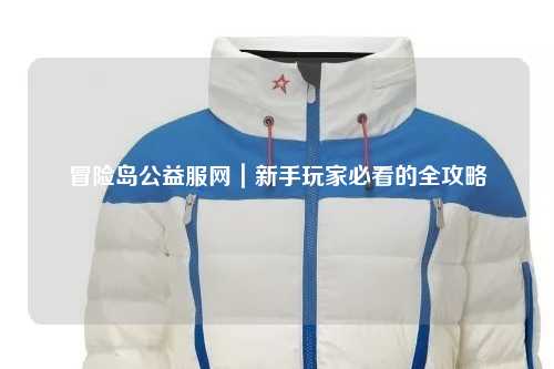 冒险岛公益服网｜新手玩家必看的全攻略