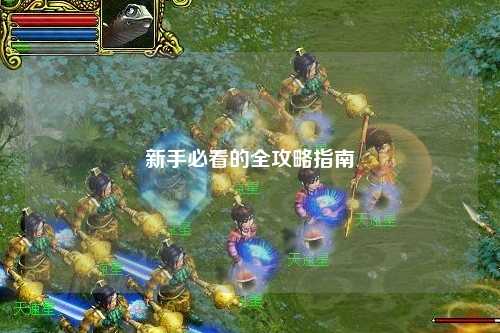 新手必看的全攻略指南