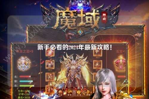 新手必看的2024年最新攻略！