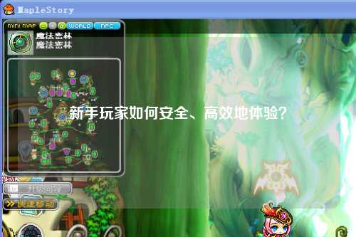 新手玩家如何安全、高效地体验？