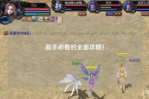 新手必看的全面攻略！