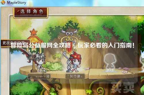 冒险岛公益服网全攻略 | 玩家必看的入门指南！
