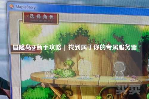 冒险岛SF新手攻略 | 找到属于你的专属服务器