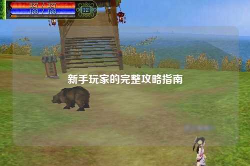 新手玩家的完整攻略指南