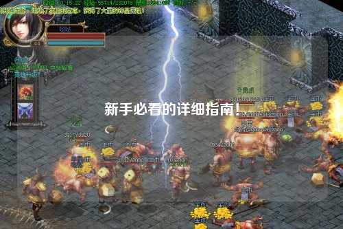 新手必看的详细指南！