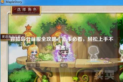 冒险岛公益服全攻略｜新手必看，轻松上手不氪金！