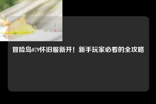 冒险岛079怀旧服新开！新手玩家必看的全攻略