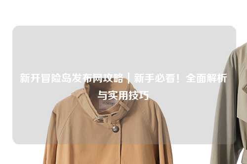 新开冒险岛发布网攻略｜新手必看！全面解析与实用技巧