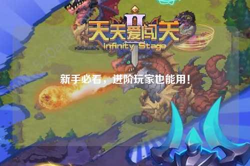 新手必看，进阶玩家也能用！