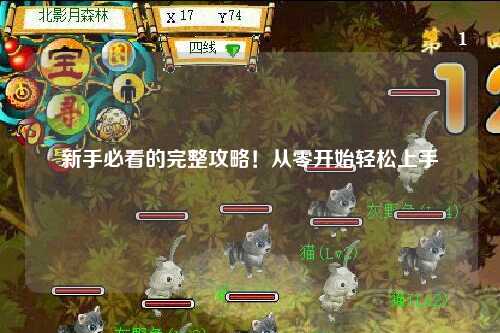 新手必看的完整攻略!从零开始轻松上手