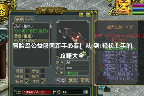 冒险岛公益服网新手必看！从0到1轻松上手的攻略大全✨