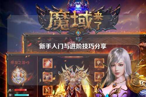 新手入门与进阶技巧分享