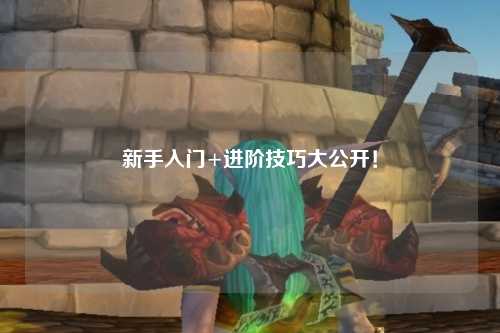 新手入门+进阶技巧大公开！